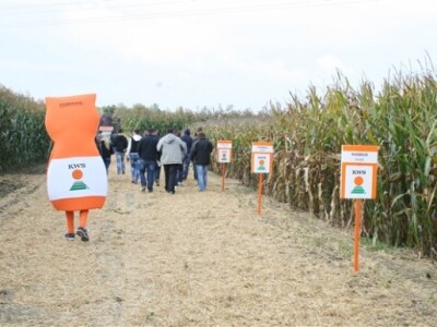 KWS premijera novih hibrida kukuruza!