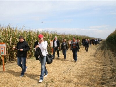 KWS premijera novih hibrida kukuruza!