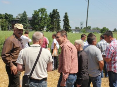 Centralni dan KWS sorti i hibrida pšenice, ječma, raži i uljane repice
