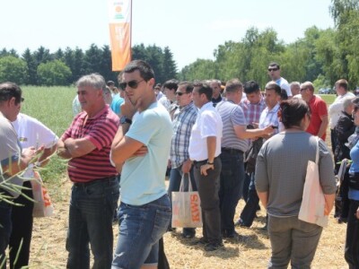 Centralni dan KWS sorti i hibrida pšenice, ječma, raži i uljane repice