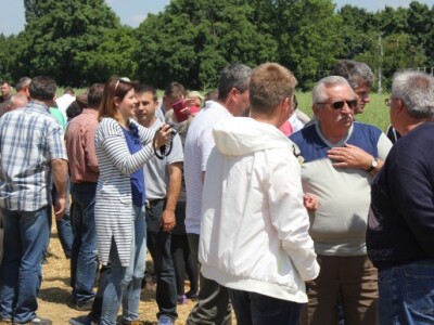 Centralni dan KWS sorti i hibrida pšenice, ječma, raži i uljane repice