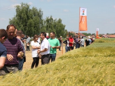 Centralni dan KWS sorti i hibrida pšenice, ječma, raži i uljane repice