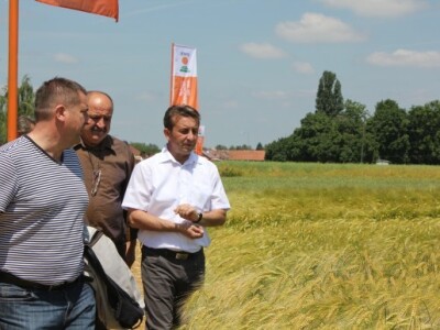 Centralni dan KWS sorti i hibrida pšenice, ječma, raži i uljane repice