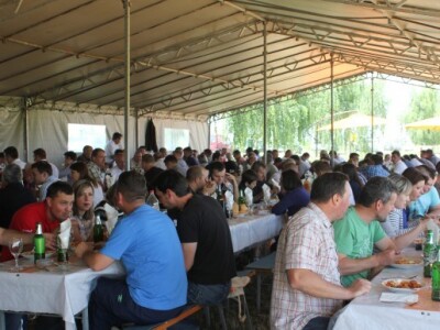 Centralni dan KWS sorti i hibrida pšenice, ječma, raži i uljane repice