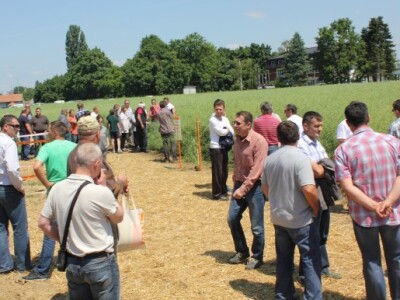 Centralni dan KWS sorti i hibrida pšenice, ječma, raži i uljane repice