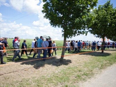 Centralni Dani polja KWS-a