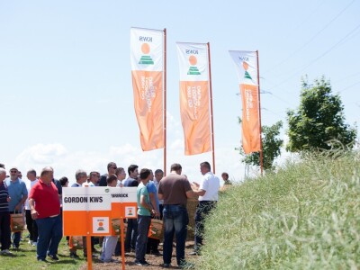 Centralni Dani polja KWS-a