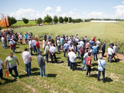 Pregled pokusnih parcela