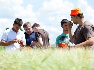 Centralni Dani polja KWS-a