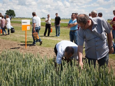 Centralni Dani polja KWS-a