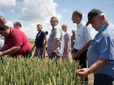 Centralni Dani polja KWS-a