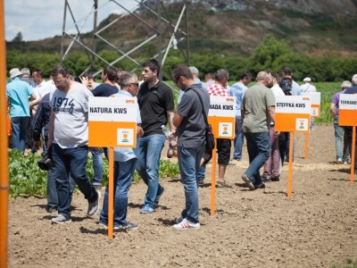 Centralni Dani polja KWS-a