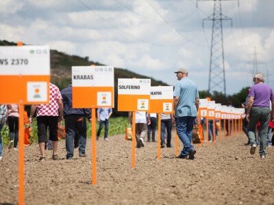 Centralni Dani polja KWS-a