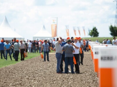 Centralni Dani polja KWS-a