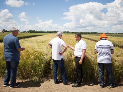 Centralni Dani polja KWS-a