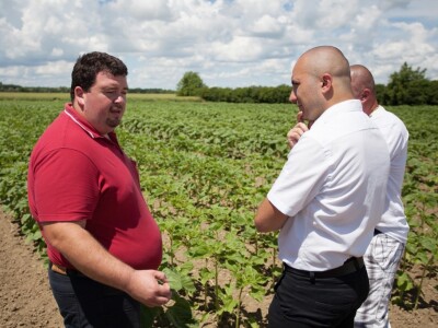 Centralni Dani polja KWS-a