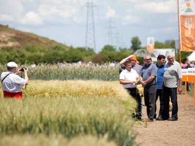 Centralni Dani polja KWS-a
