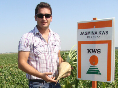 Dan polja KWS šećerne repe