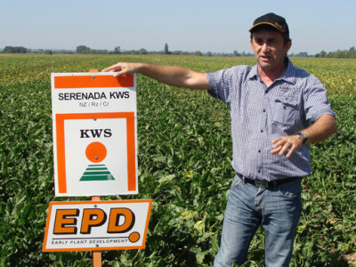 Dan polja šećerne repe Tvornice šećera Viro