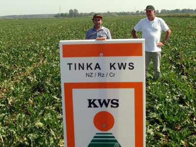 Dan polja KWS šećerne repe
