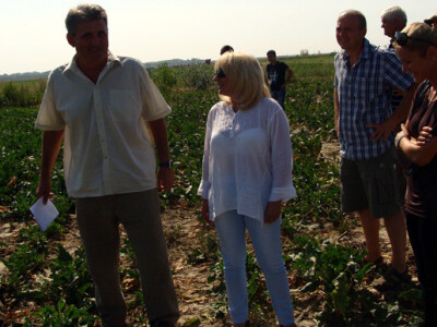 Dan polja KWS šećerne repe