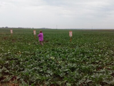 Vanjski dio prezentacije skratili su kišni oblaci