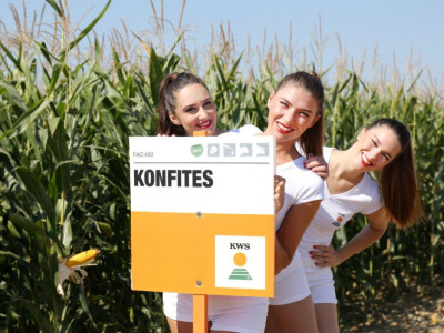 KWS na Farmshowu 2016.