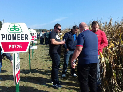 Razgledanje pokusnih polja s novim hibridima