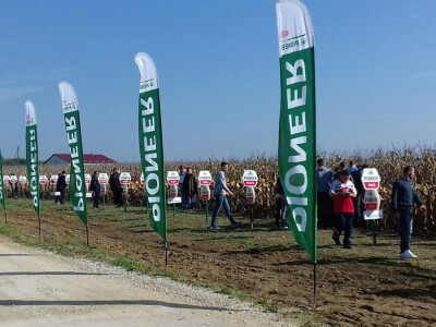 Dan Pioneera u Križevcima