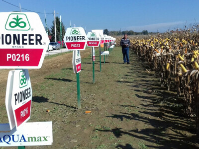 Pregled uroda po hibridima