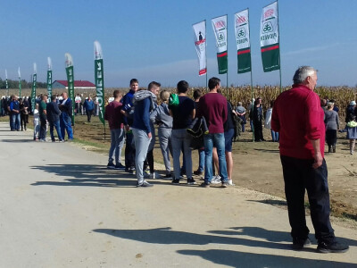 Vrijeme je bilo idealno za boravak u polju