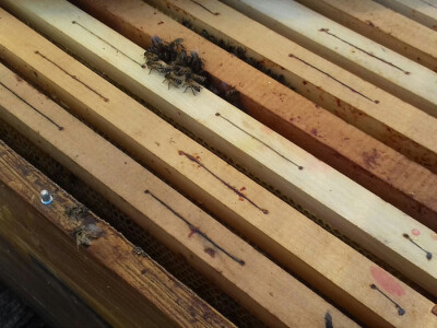 Pčalarstvo Lončarić