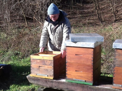 Divlje životinje ponekad naprave nered u pčelinjaku