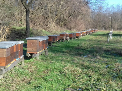 Košnice su smještene u okolici Koprivnice