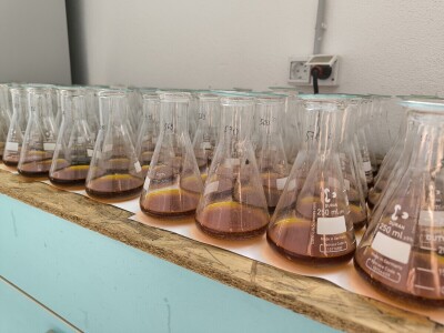 Labosan laboratorij u Virovitici