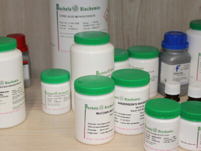 Labplant - najveći rasadnik borovnice u RH