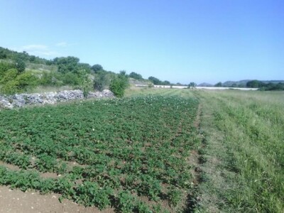 Da ima zemlje širila bi se poljoprivredna proizvodnja