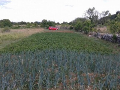 Iskorišten je svaki centimetar plodne zemlje