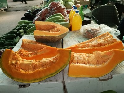 Lako se uzgaja a veoma se isplati