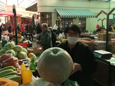 Lako se uzgaja a veoma se isplati