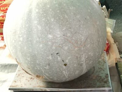 Lako se uzgaja a veoma se isplati