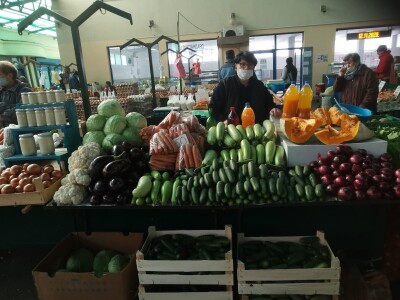 Lako se uzgaja a veoma se isplati