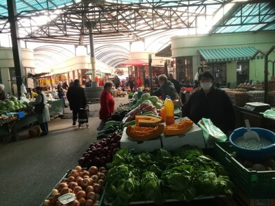 Lako se uzgaja a veoma se isplati