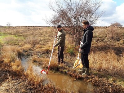 Lalinačka slatina krije živo blato i retke biljke i životinje