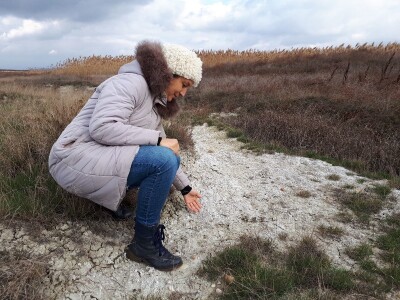 Lalinačka slatina krije živo blato i retke biljke i životinje