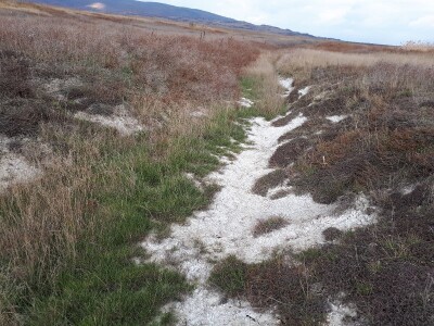 Lalinačka slatina krije živo blato i retke biljke i životinje