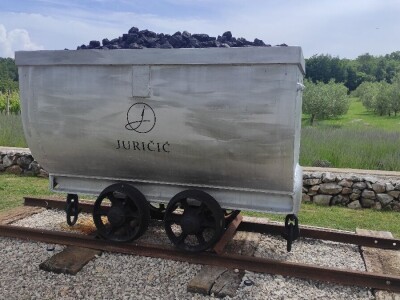 Lari Juričić, najmlađi je vinar Labinštine, ali prestižne nagrade ga ne mimoilaze Lari Juričić, najmlađi je vinar Labinštine, ali prestižne nagrade ga ne mimoilaze