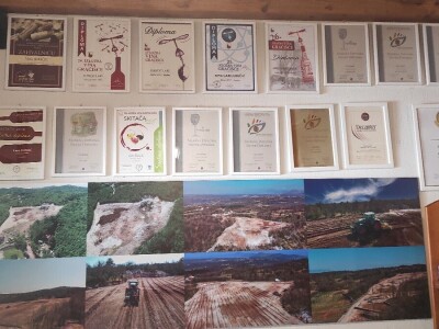 Lari Juričić, najmlađi je vinar Labinštine, ali prestižne nagrade ga ne mimoilaze Lari Juričić, najmlađi je vinar Labinštine, ali prestižne nagrade ga ne mimoilaze