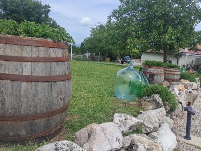 Lari Juričić, najmlađi je vinar Labinštine, ali prestižne nagrade ga ne mimoilaze Lari Juričić, najmlađi je vinar Labinštine, ali prestižne nagrade ga ne mimoilaze