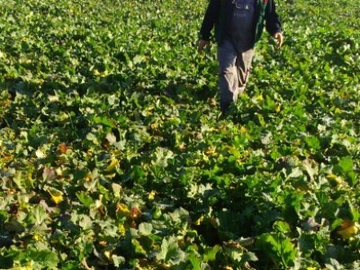 Poljoprivredni obrt Lasić